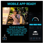 36V 105ah Lithium Rhino Conversion Kit