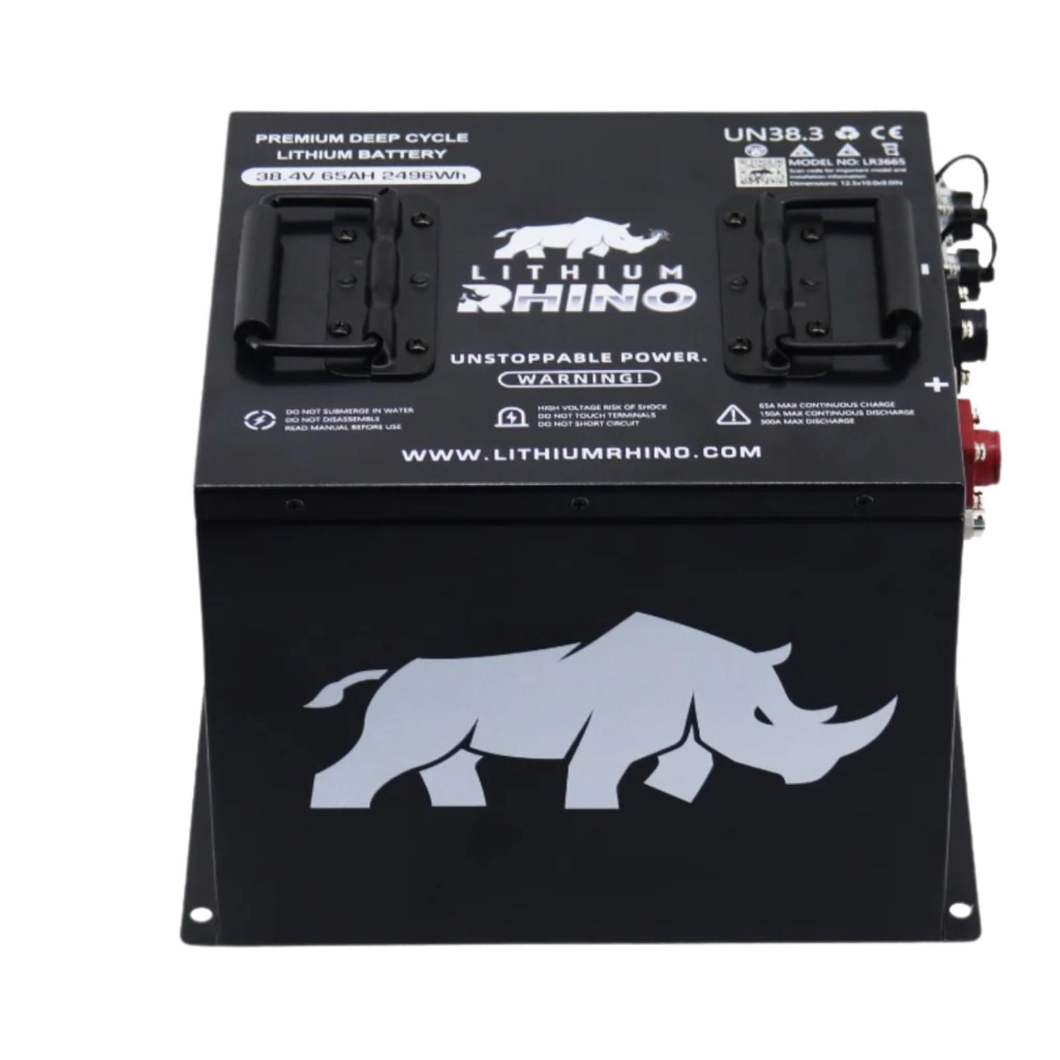 36V 65ah Lithium Rhino Conversion Kit