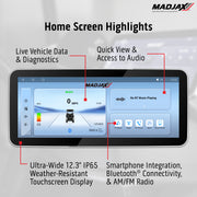 MadJax® Kinect™ Display Screen Kit for A/C motor EZGO RXV wi