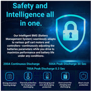 48V 105ah Lithium Rhino Conversion Kit