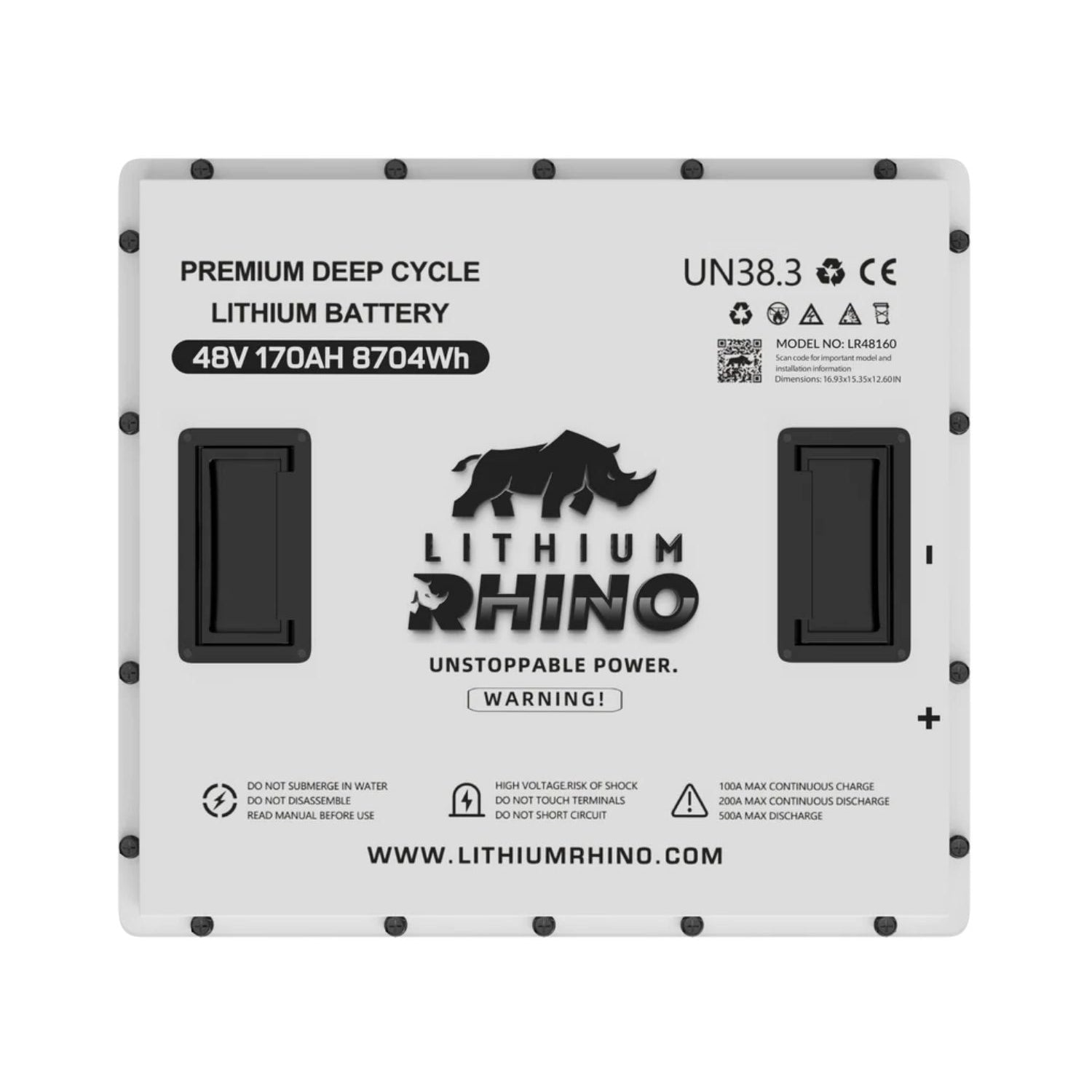 48V 170AH Lithium Rhino 300a BMS Conversion Kit