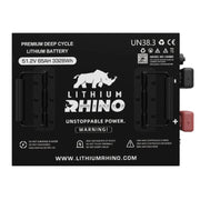 48V 65ah Lithium Rhino Conversion Kit