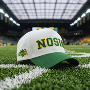 NDSU Bison Hat