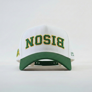 NDSU Bison Hat