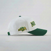 NDSU Bison Hat